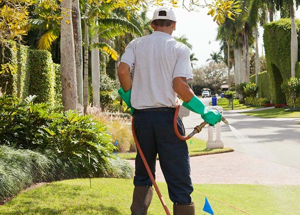 About Cockeysville MD Pest Control